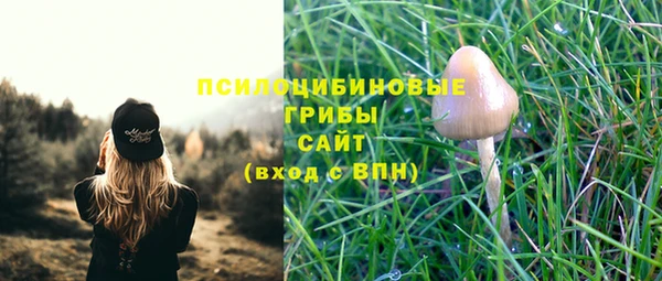 твердый Вязники